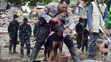 Tanggap Darurat Tsunami di Lampung Diperpanjang Sepekan