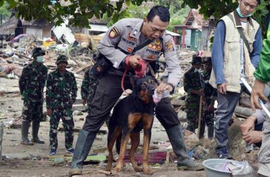 Tanggap Darurat Tsunami di Lampung Diperpanjang Sepekan