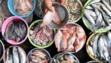 Harga Ikan di TPI Sungaliat 3 Hari Terakhir Meningkat