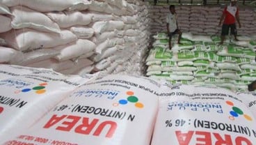 Serapan Pupuk Urea Bersubsidi di Jember 99,53%