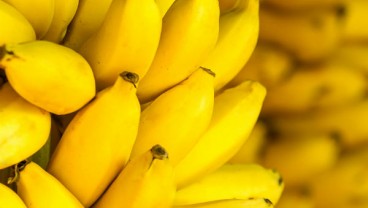 Ini Makanan yang Aman Dikonsumsi Saat Diare