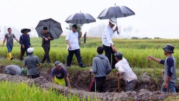 Pemerintah Sudah Merehabilitasi Irigasi Primer Tiga Juta Hektare