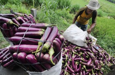 Polbangtan Bogor Kembangkan Model Pertanian & Peternakan Rakyat