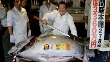 Cetak Rekor, Tuna 278 Kg Dihargai US$3,1 juta