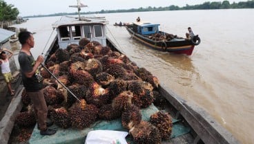 Penghiliran Sawit Bisa Dipercepat dengan Kepastian Regulasi