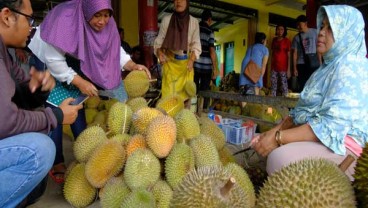 Gara-Gara Cuaca Ekstrem, Rasa Durian Mijen pun Jadi Hambar