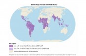 POTENSI PENYEBARAN VIRUS : Zika yang Menuntut Waspada