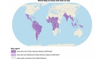 POTENSI PENYEBARAN VIRUS : Zika yang Menuntut Waspada