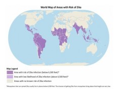 POTENSI PENYEBARAN VIRUS : Zika yang Menuntut Waspada