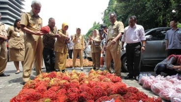 Cabai Petani Dibeli Tengkulak Rp9.000/kg, Harga Jual di Pasar Rp20.000/kg