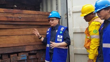 Kementerian Lingkungan Hidup dan Kehutanan Amankan 384 Kontainer Kayu Ilegal dari Papua