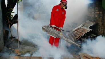 Bangka Belitung Waspada Demam Berdarah