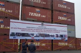 KLHK Janji Usut Masuknya Kayu Ilegal ke Surabaya