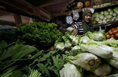 Harga Sayuran di Temanggung Turun Drastis