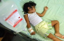 Februari, Jakarta Diprediksi  Waspada Demam Berdarah ‘Dengue’