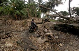 Pemkab Lampung Selatan Siapkan 500 Huntara untuk Korban Tsunami