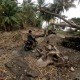 Pemkab Lampung Selatan Siapkan 500 Huntara untuk Korban Tsunami
