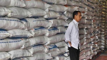 Stok Beras Diprediksi Berlebih, Bulog Lirik Pasar Ekspor