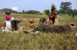 Kementan Minta Data Lahan Baku Sawah Diverifikasi