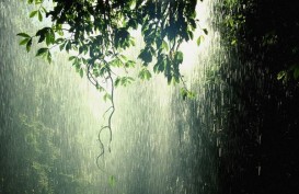 Cuaca Indonesia 23 Januari, Siang dan Malam Bakal Hujan