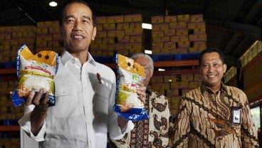 Temui Presiden Jokowi, Ini Harapan Pelaku Usaha Beras Nasional