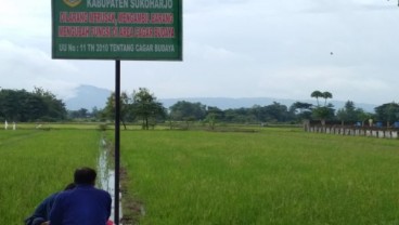 Sawah di Sukoharjo ini Jadi Incaran Pemburu Harta Karun, Berlokasi di Bekas Makam Kuno