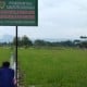 Sawah di Sukoharjo ini Jadi Incaran Pemburu Harta Karun, Berlokasi di Bekas Makam Kuno