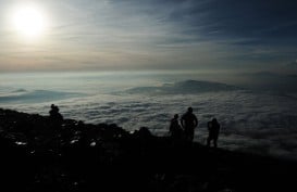 Peningkatan Produktivitas 500 Ha Kopi Kerinci Dianggarkan Rp4 Miliar