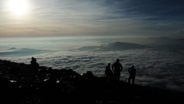 Peningkatan Produktivitas 500 Ha Kopi Kerinci Dianggarkan Rp4 Miliar