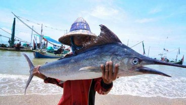 Asuransi Lindungi 2.400 Nelayan di Jember