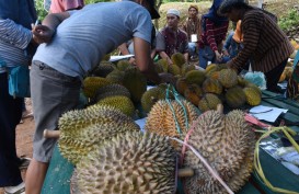 Ribuan Durian 'Sold Out' di Festival Bukit Setepong Madiun