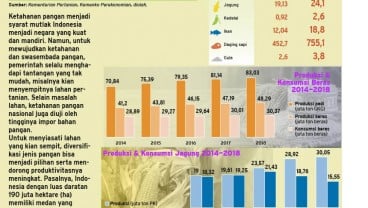 Ini Tantangan Menuju Swasembada Pangan