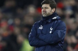 Prediksi Skor Tottenham Vs Watford, Susunan Pemain, Preview, Jalannya Laga 