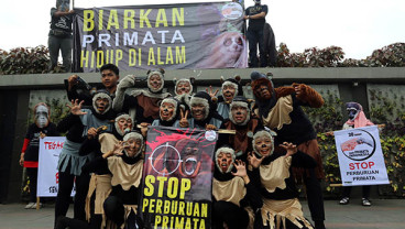 STOP PERBURUAN PRIMATA