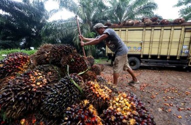 Asian Agri Nilai Industri Sawit 2018 Kurang Menguntungkan