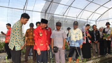 Wali Kota Bandar Lampung Sebar Ribuan Benih Ikan di Itera