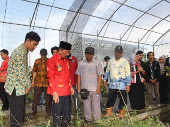 Wali Kota Bandar Lampung Sebar Ribuan Benih Ikan di Itera