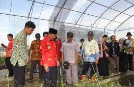 Wali Kota Bandar Lampung Sebar Ribuan Benih Ikan di Itera