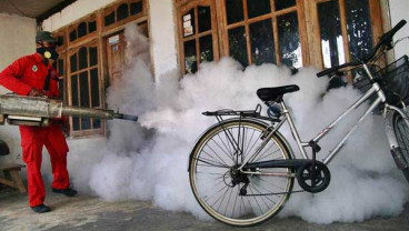 DKI Jakarta Catat 813 Kasus DBD, Daerah Rawan Jadi Prioritas Fogging