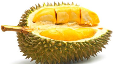 Durian Unggulan di Kabupaten Terluas di Pulau Jawa dan Bali Ini Bisa Berharga Rp1 Juta per Buah