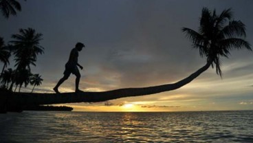 BMKG Catat 5 Kali Gempa di Atas 5 SR Guncang Mentawai
