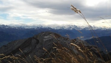 Perjalanan ke Gunung Pilatus dan Melihat Alpen Lebih Dekat