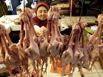 Daging Ayam Pemicu Inflasi Terbesar di Kaltim