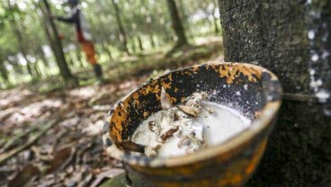Minyak Mentah Terus Melemah, Harga Karet Ditutup Berbalik Melemah