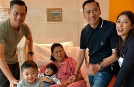 Sakit, Ani Yudhoyono Dapat Ucapan Doa dari Jokowi Hingga PM Singapura