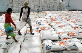 Penjualan Beras Premium Bulog di Bengkulu Mulai Meningkat