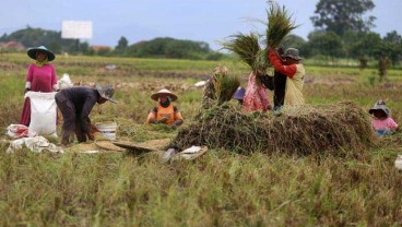 Awal Tahun, Upah Buruh Tani Naik 1,03%