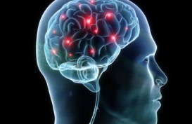Menjaga Prefrontal Cortex pada Otak Remaja Lewat Aktivitas Fisik