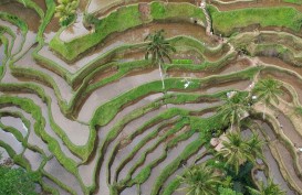 Gubernur Bali Segera Atur Pertanian Organik, Kantong Plastik & Kendaraan Listrik