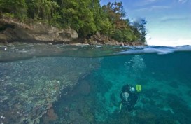 'Underwater Photo Competition', Tawarkan Hadiah Rp150 Juta